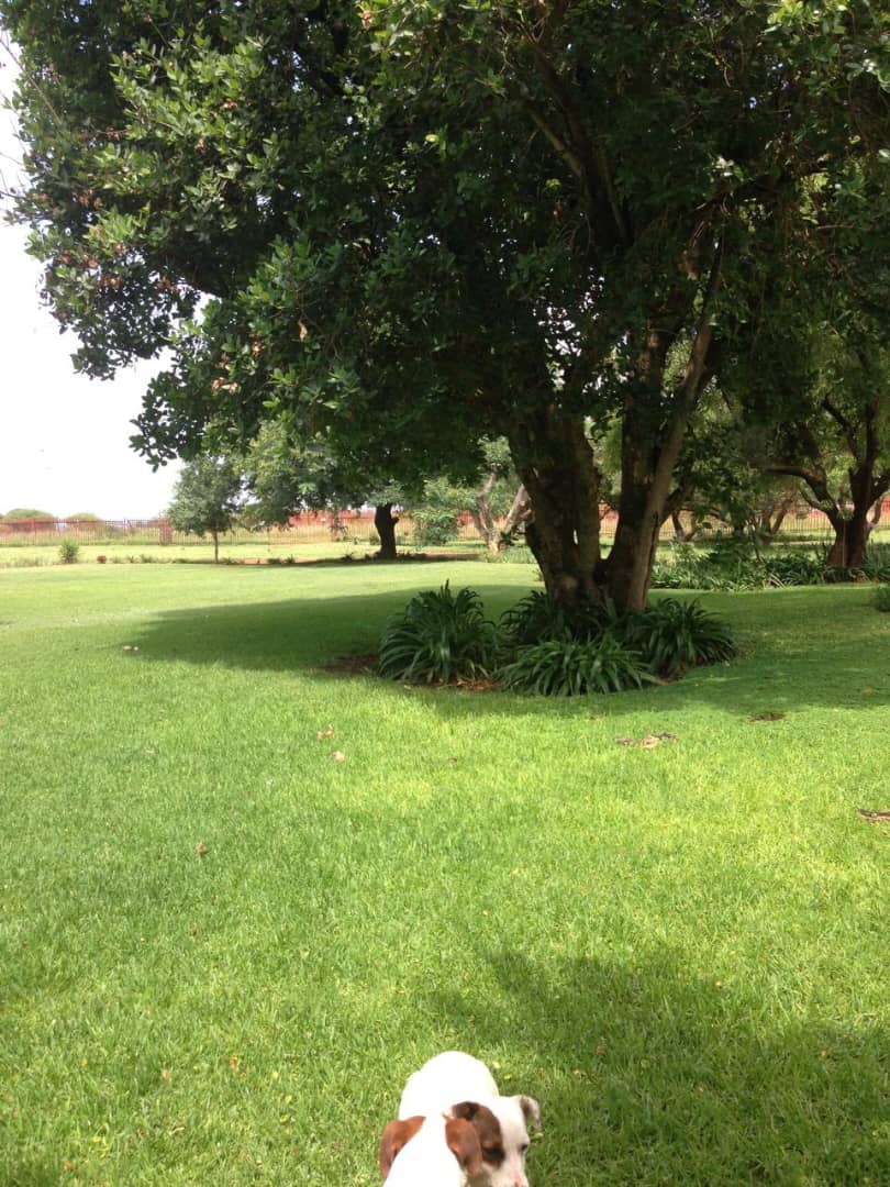 To Let commercial Property for Rent in Rietfontein A H North West